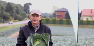 Odmiany kapust podążające za trendami rynkowymi
