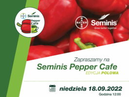 Szkolenie -papryka polowa- 18.09.2022- na polu Andrzeja Lewczuka