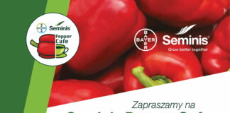 Szkolenie -papryka polowa- 18.09.2022- na polu Andrzeja Lewczuka