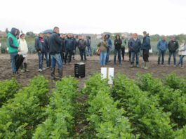 Pory, selery i marchew – warsztaty polowe w Maszkowicach