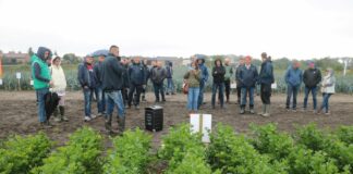 Pory, selery i marchew – warsztaty polowe w Maszkowicach