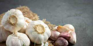 Jakie warzywa sadzimy jesienią?