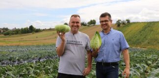 Kapusty z Hazery na XXVI Charsznickich Dniach Kapusty – zaproszenie na poletka