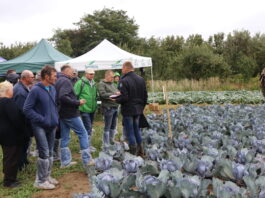 Gdzie warto być? Najbliższe spotkania i szkolenia dla producentów warzyw.