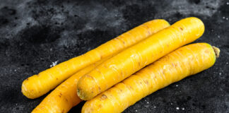 Żółta marchewka – czy jest jadalna? żółta marchewka