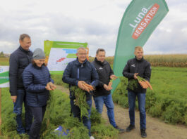 Odmiany warzyw i możliwości ich ochrony w dobie zrównoważonego rozwoju
