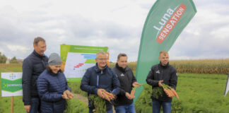 Odmiany warzyw i możliwości ich ochrony w dobie zrównoważonego rozwoju