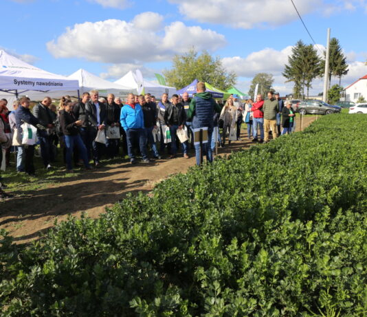 Biologiczne metody zwalczania chorób i nicieni w uprawie selera