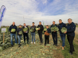 Kalafiory (i nie tylko) na spotkaniu w Samwodzie