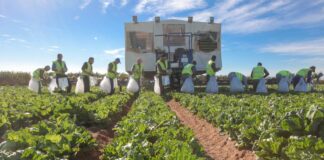 Petycja w sprawie zatrudnienia pracowników cudzoziemców. Przeczytaj i podpisz!