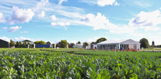 Nowe odmiany kapusty, kalafiora i brokuła od Sakaty na pokazach w Holandii