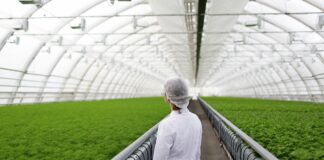 Corteva Agriscience wprowadza na rynki europejskie nowy produkt biologiczny Utrisha Rhizo