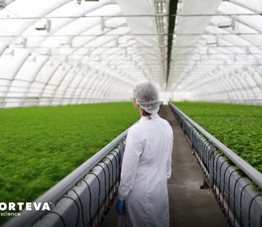 Corteva Agriscience wprowadza na rynki europejskie nowy produkt biologiczny Utrisha Rhizo