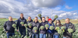 Praca szuka człowieka – dołącz do drużyny Syngenta!