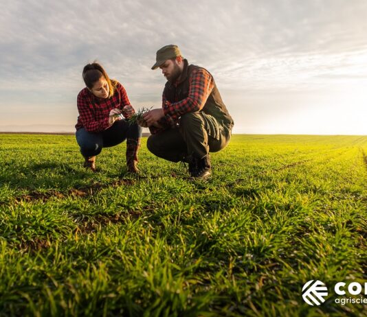 Stoller Group, jedna z największych firm biologicznych w branży przejęta przez Corteva Agriscience