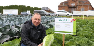 Nowa pekińska i odmiany włoskie w nowym typie