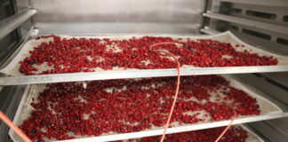 Przetwórstwo warzyw na niewielką skalę