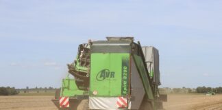 Polska czwartym producentem ziemniaków w UE w 2024 roku. producenci ziemniaków