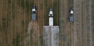 Rozsiewacz do wapna – jaki wybrać?