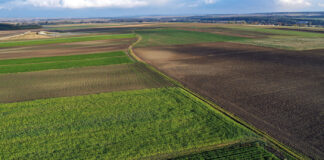 Stawki dopłat do upraw prowadzonych metodami ekologicznymi