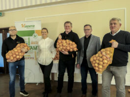 Uprawa cebuli ukierunkowana na wysokie plony, cz. I – Wybór odmiany