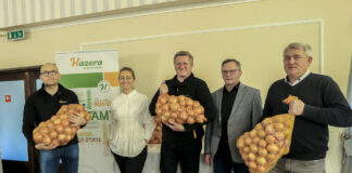 Uprawa cebuli ukierunkowana na wysokie plony, cz. I – Wybór odmiany