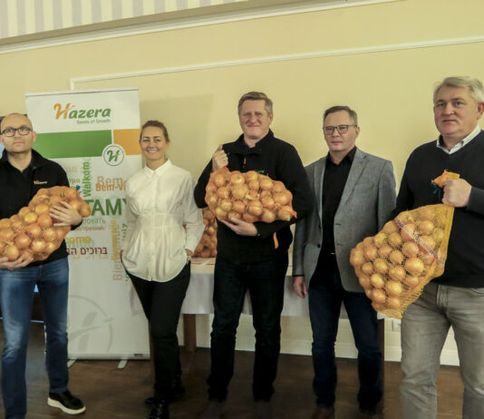 Uprawa cebuli ukierunkowana na wysokie plony, cz. I – Wybór odmiany