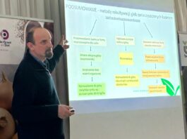 Kadm w warzywach – czy jest groźny? Nowe normy i obostrzenia