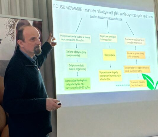 Kadm w warzywach – czy jest groźny? Nowe normy i obostrzenia