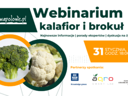 Webinarium: Kalafior i brokuł – to już dziś!