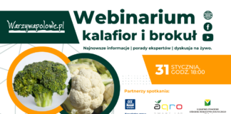 Webinarium: Kalafior i brokuł – to już dziś!