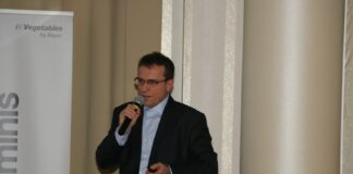 Jakie odmiany warzyw polowych dla przetwórstwa?