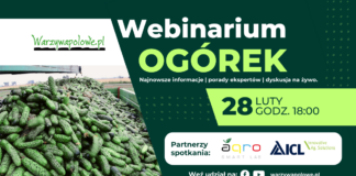 Webinarium: Ogórek