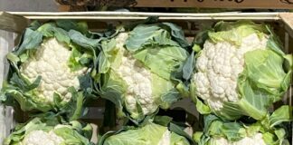 Kalafior. Jak sprostać wymaganiom stawianym przez rynek?