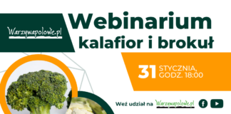 Webinarium: Uprawa kalafiora i brokuła