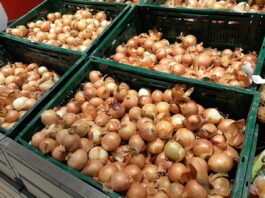 Ceny cebuli – hurt i detal – luty 2023