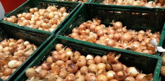 Ceny cebuli – hurt i detal – luty 2023