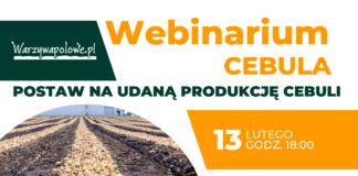 Postaw na udaną produkcję cebuli