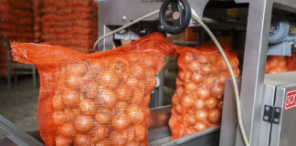 Rekordowe ceny cebuli w marcu 2023. Czy osiągnęły już punkt kulminacyjny?