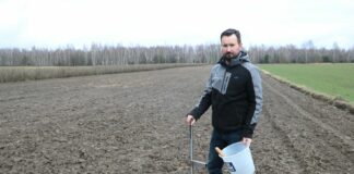 Nawożenie kapusty od A do Z