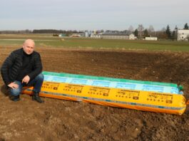 Jak uchronić wczesną kapustę przed przymrozkami? kapusta a przymrozki