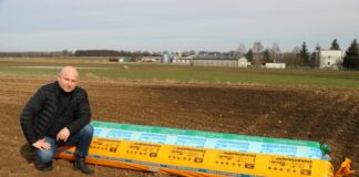 Jak uchronić wczesną kapustę przed przymrozkami? kapusta a przymrozki