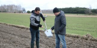 Przygotowanie stanowiska pod uprawę kalafiora – pobieranie gleby, analizy i zalecenia