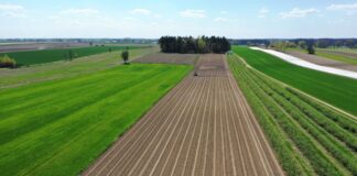 Płatności bezpośrednie 2023 – nabór wniosków wciąż trwa