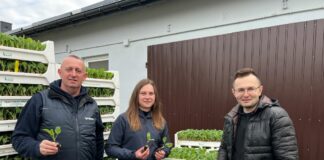 Przyjechała rozsada, ale z sadzeniem trzeba zaczekać – co robić?