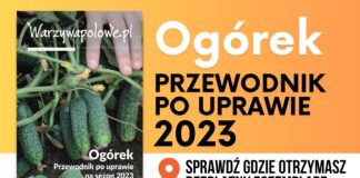 OGÓREK. Przewodnik po uprawie 2023 Sprawdź gdzie otrzymasz bezpłatny egzemplarz!