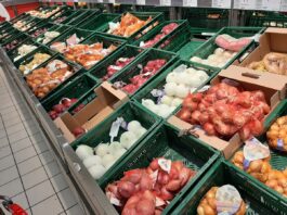 Ceny cebuli – II połowa kwietnia 2023