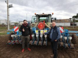 Siewy cebuli rozpoczęte – na jaką głębokość, jakie odmiany i co potem?