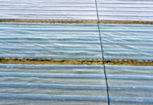 Regiony z największymi mrozami i prognozy do 30 kwietnia przymrozek