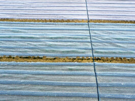 Regiony z największymi mrozami i prognozy do 30 kwietnia przymrozek